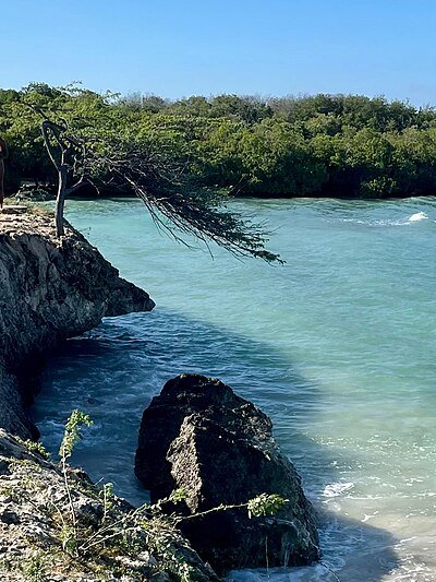 Arashi Beach snorkeling Aruba