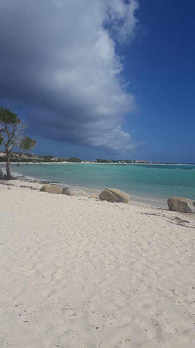 Baby Beach snorkeling Aruba