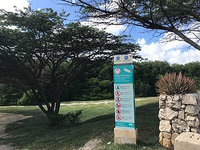 Boca Catalina snorkeling Aruba