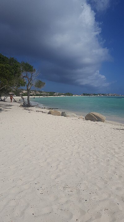 Malmok Beach snorkeling Aruba