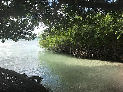 Mangel Halto snorkeling Aruba