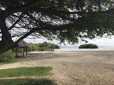 Tres Trapi snorkeling Aruba